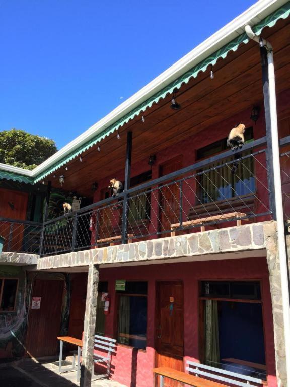 Manakin Lodge, Monteverde Cr Exterior photo